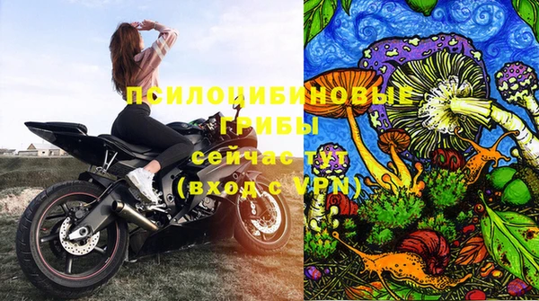 кокс Баксан
