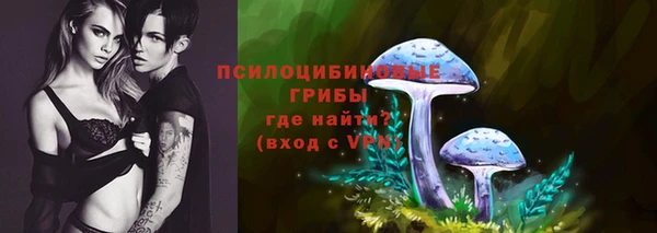 кокс Баксан