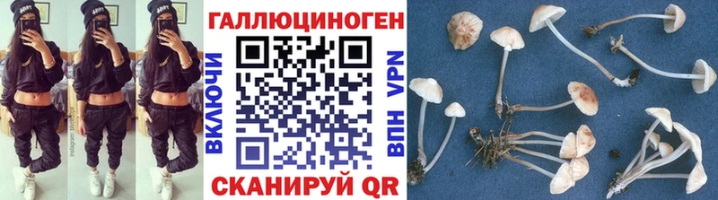 нарко площадка официальный сайт Иноземцево ссылка на мегу онион Псилоцибиновые грибы MAGIC MUSHROOMS купить наркотики цена