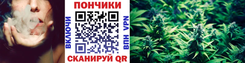 Конопля конопля закладки Иноземцево